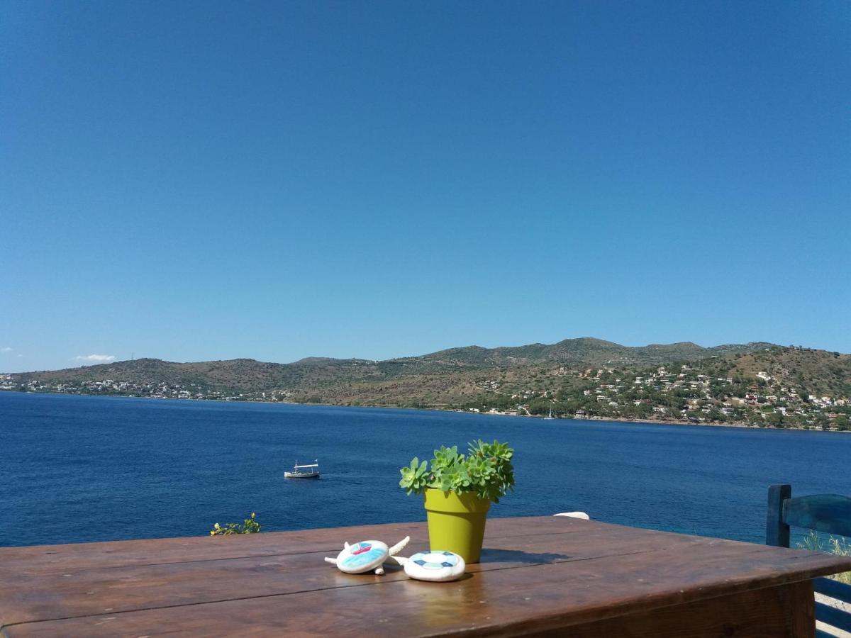 Almyra Seaside Villa เปอร์ดิกา ภายนอก รูปภาพ